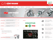 Tablet Screenshot of guneyrulman.com